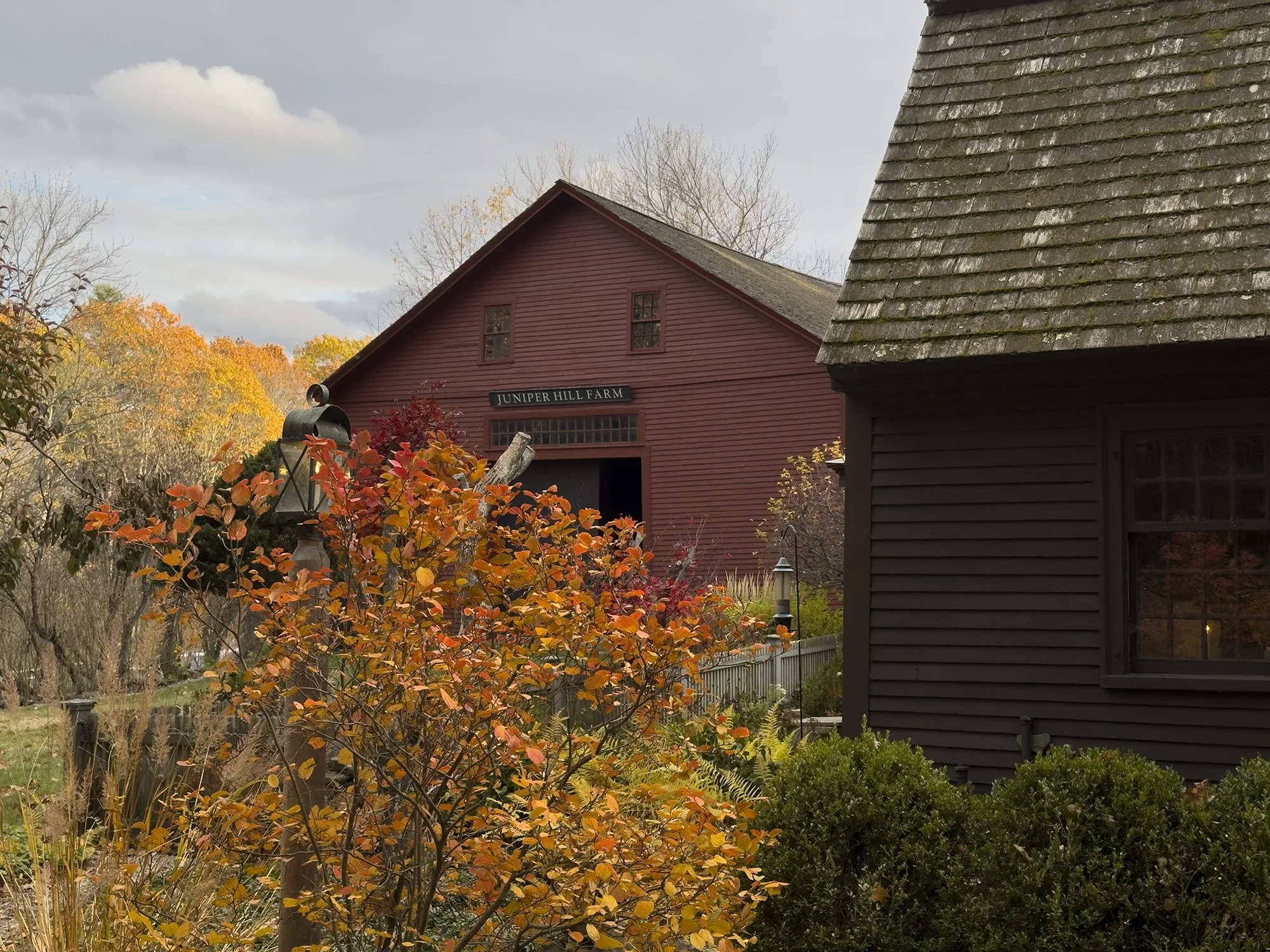 Autumn at Juniper Hill