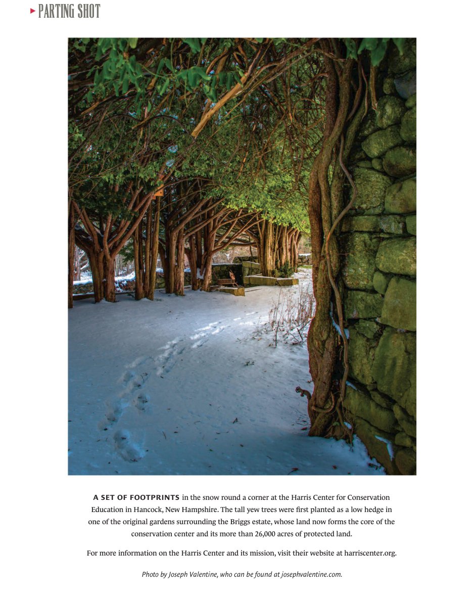 Thanks for The Parting Shot