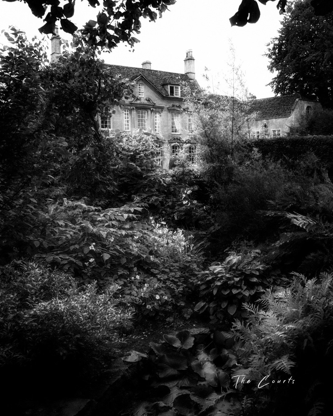 Photographed during the month of September.