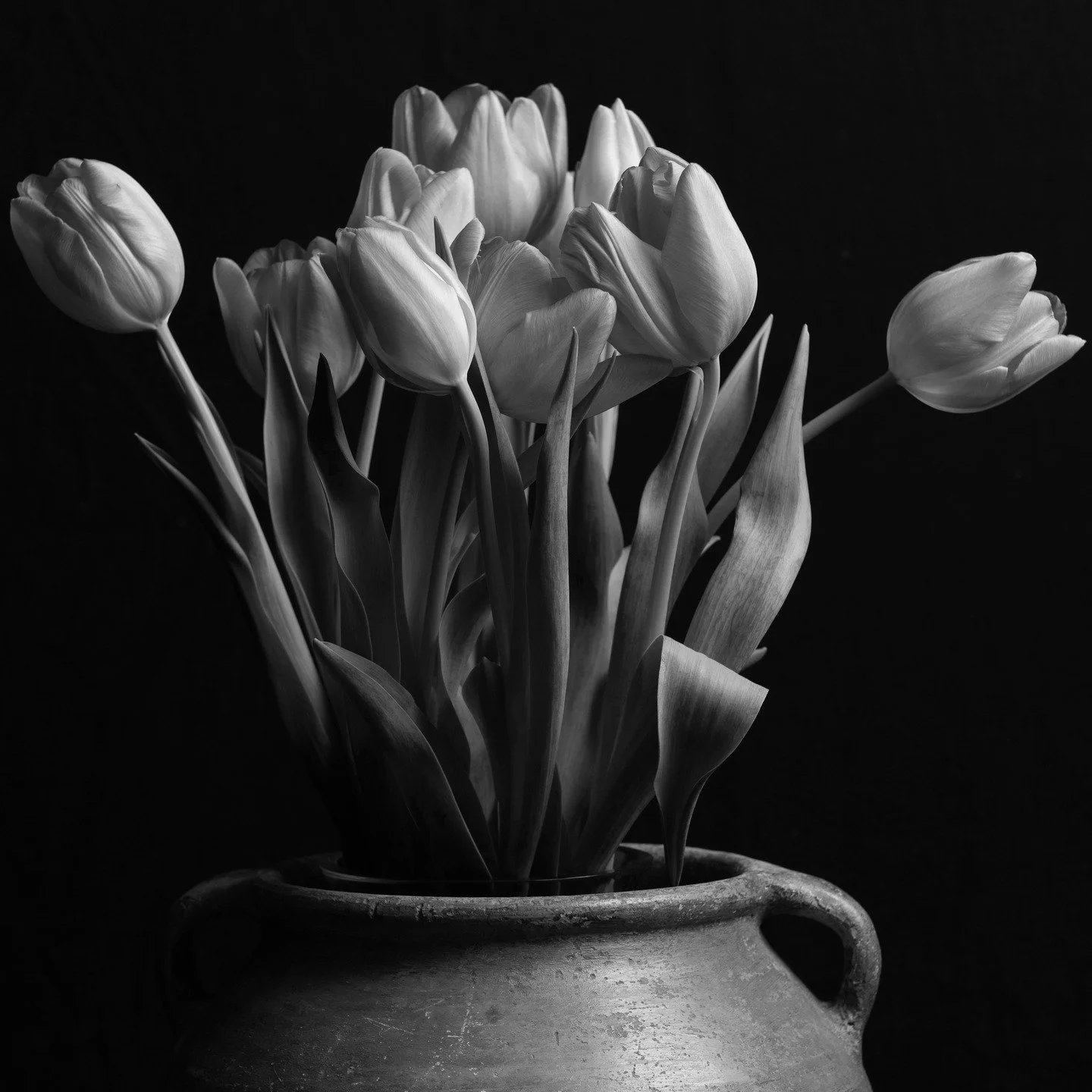 .
.
Headed Toward Spring
.
.
#spring #blackandwhitephotography