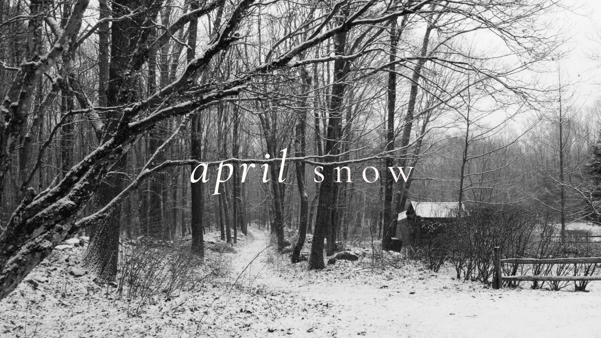 April Snowstorms