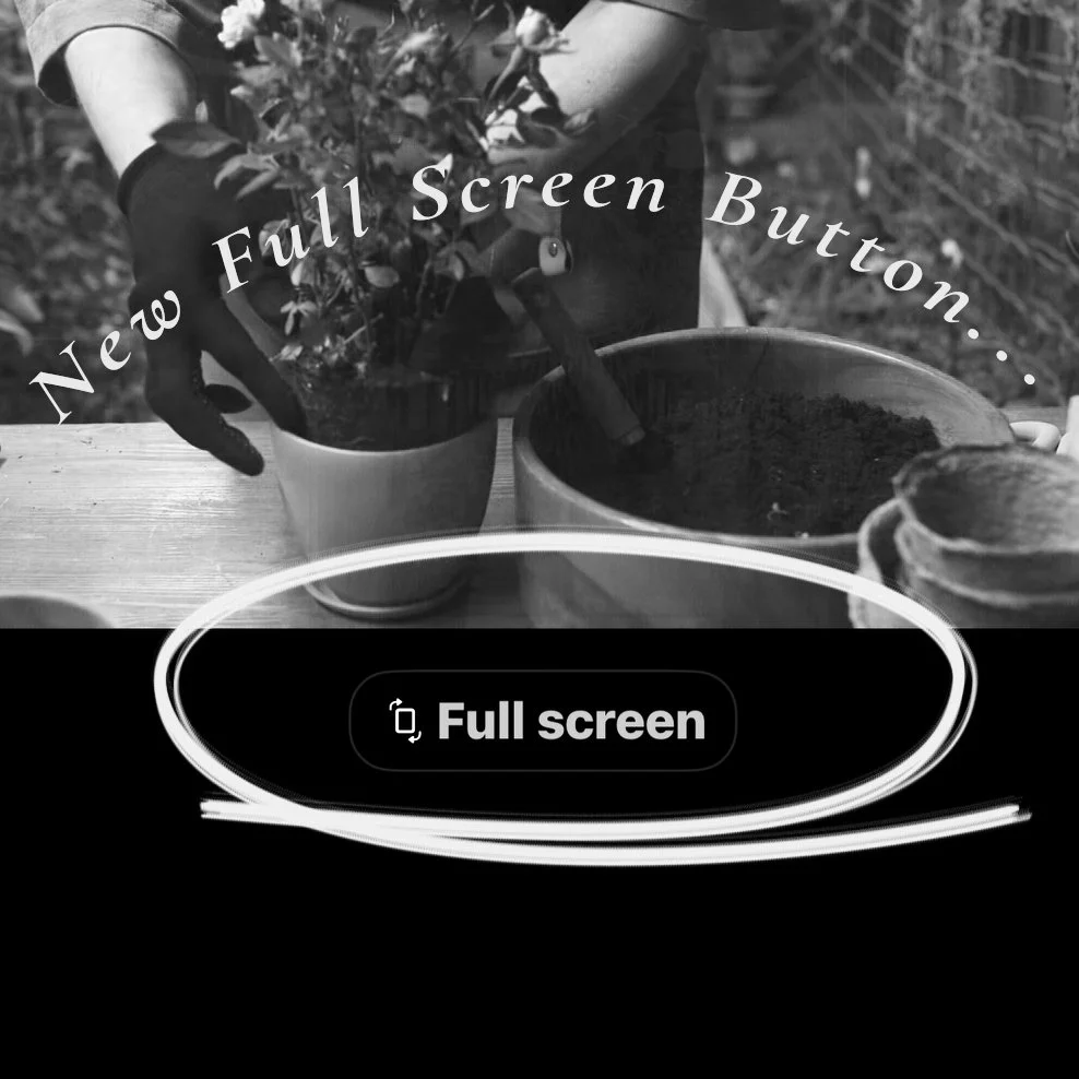 New Full Screen Button