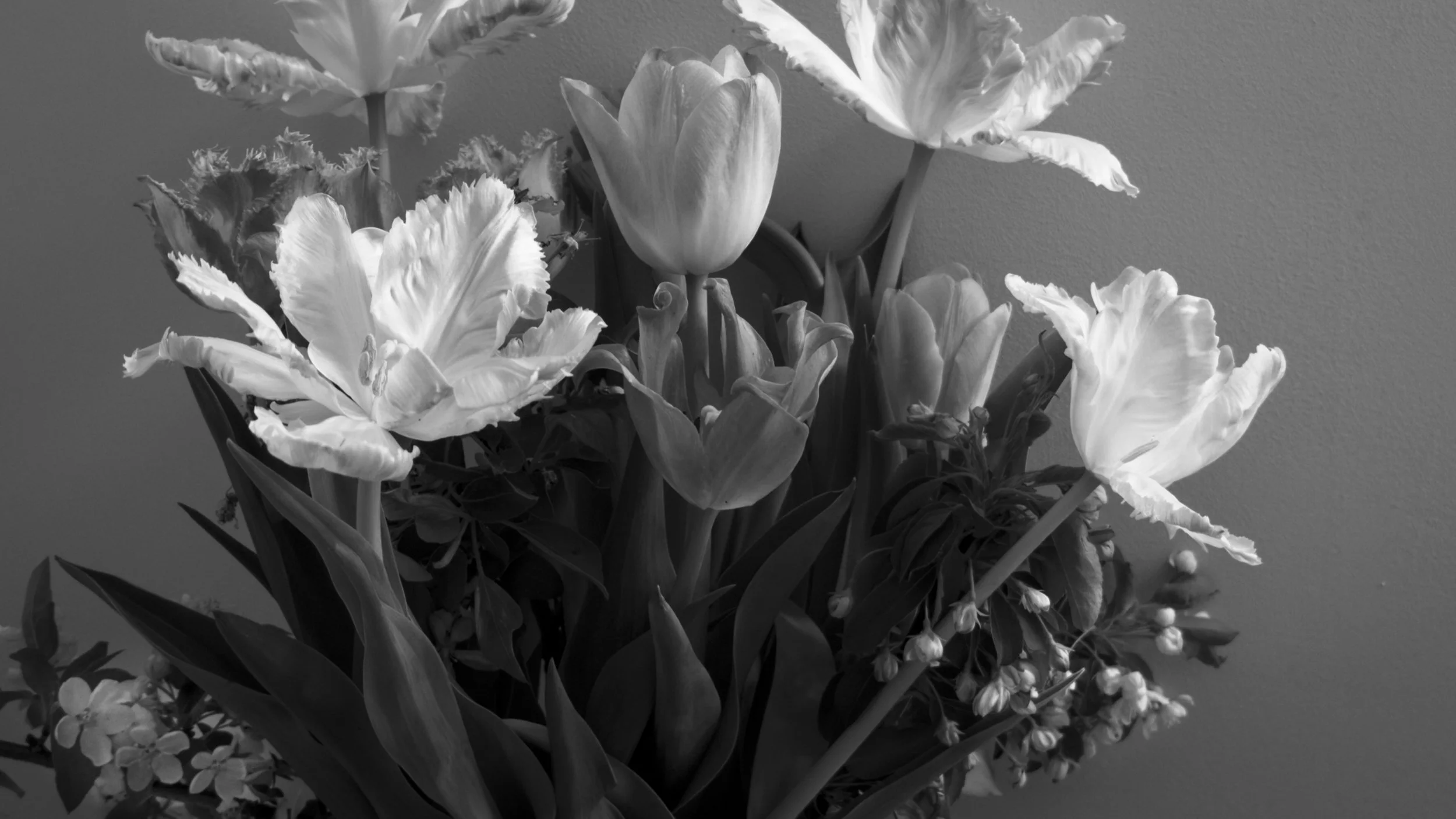 Spring Flowers
