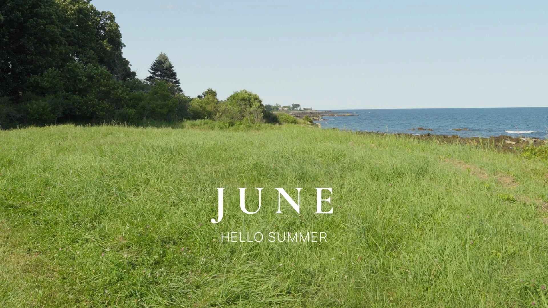 Hello June