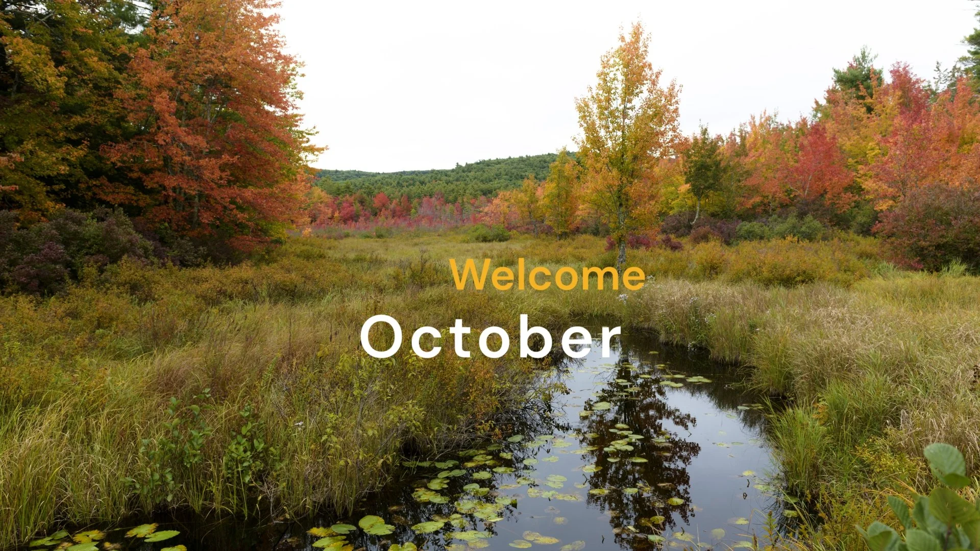 Hello October