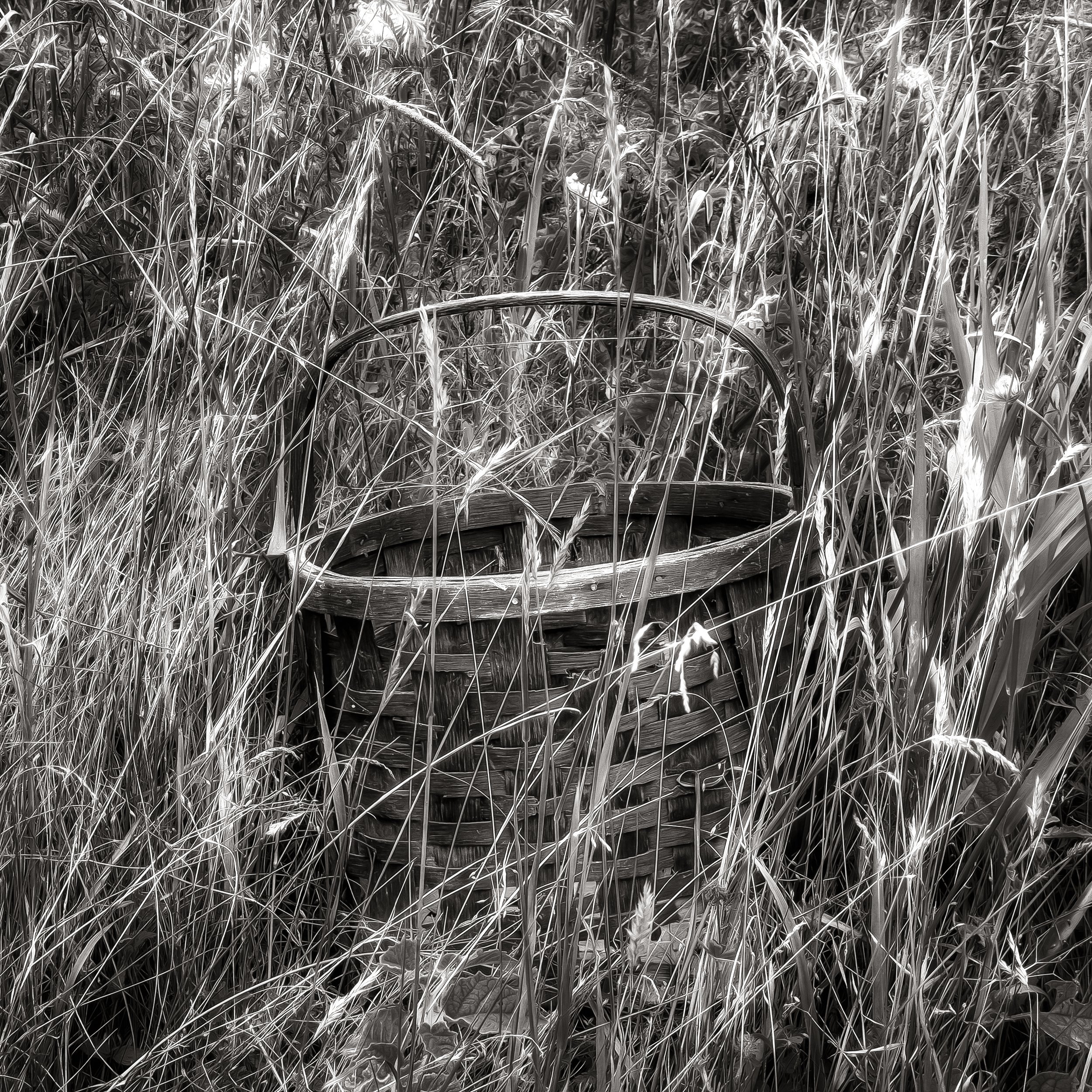 july basket2- copy.jpg