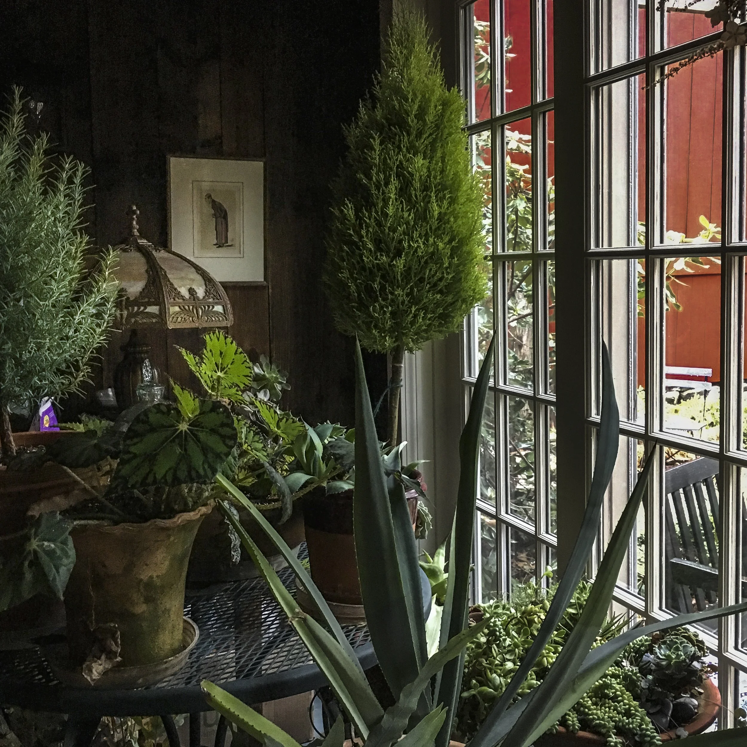 garden room square- copy.jpg