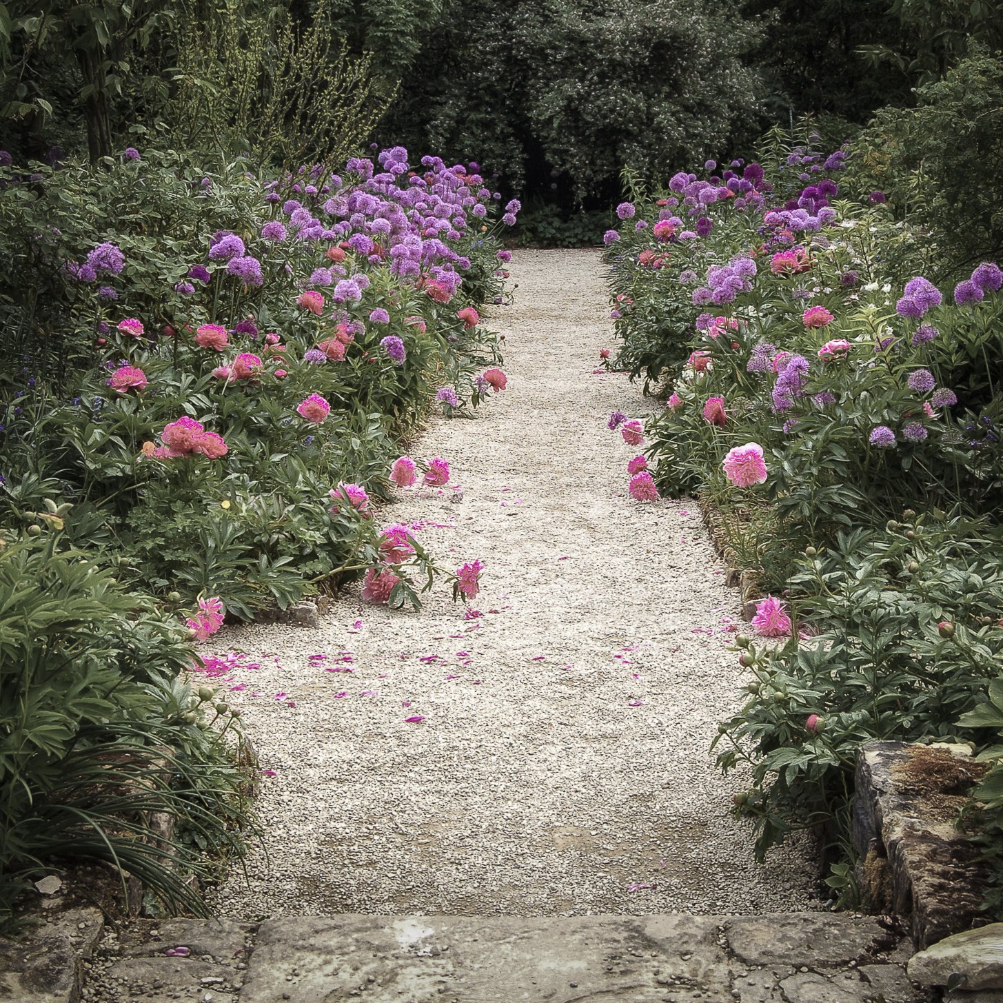 hidcote-.jpg