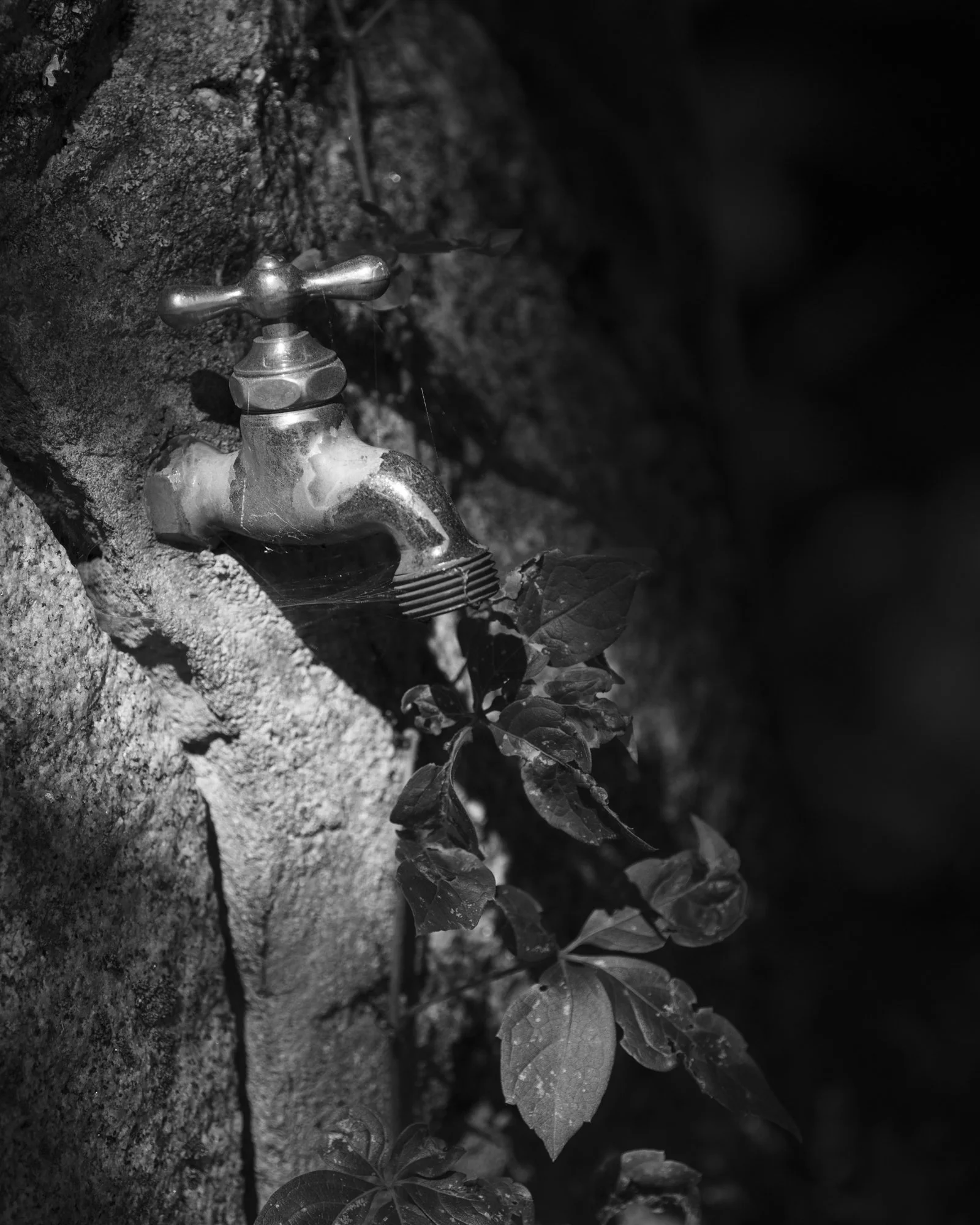faucet-8504319.jpg