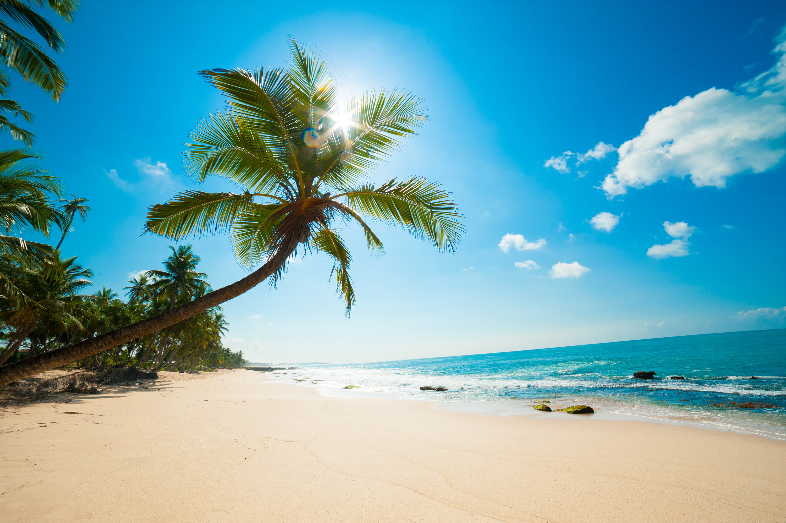 shutterstock_109674992.jpg