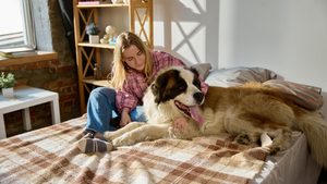 Are Dogs Allowed on Myrtle Beach in Summer 2026? Rental + Beach Rules for Traveling with Pets
