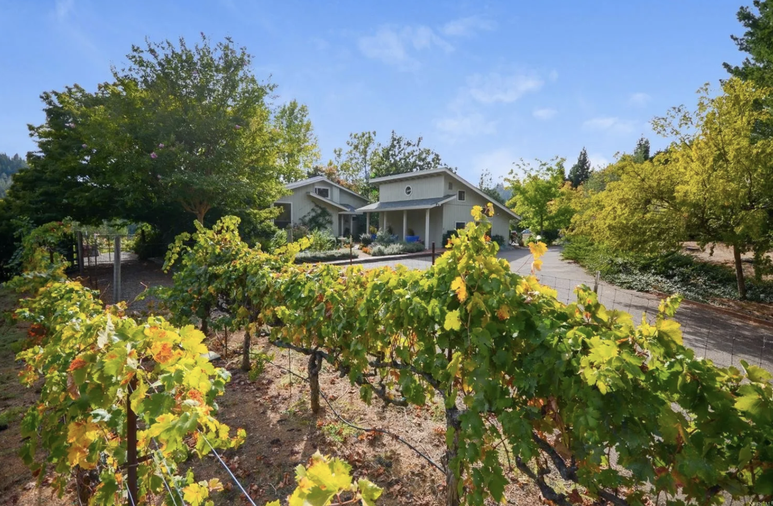 1550 JACK PINE RD