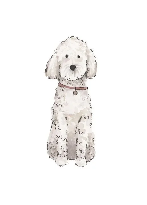 Maci's sketch (Copy)