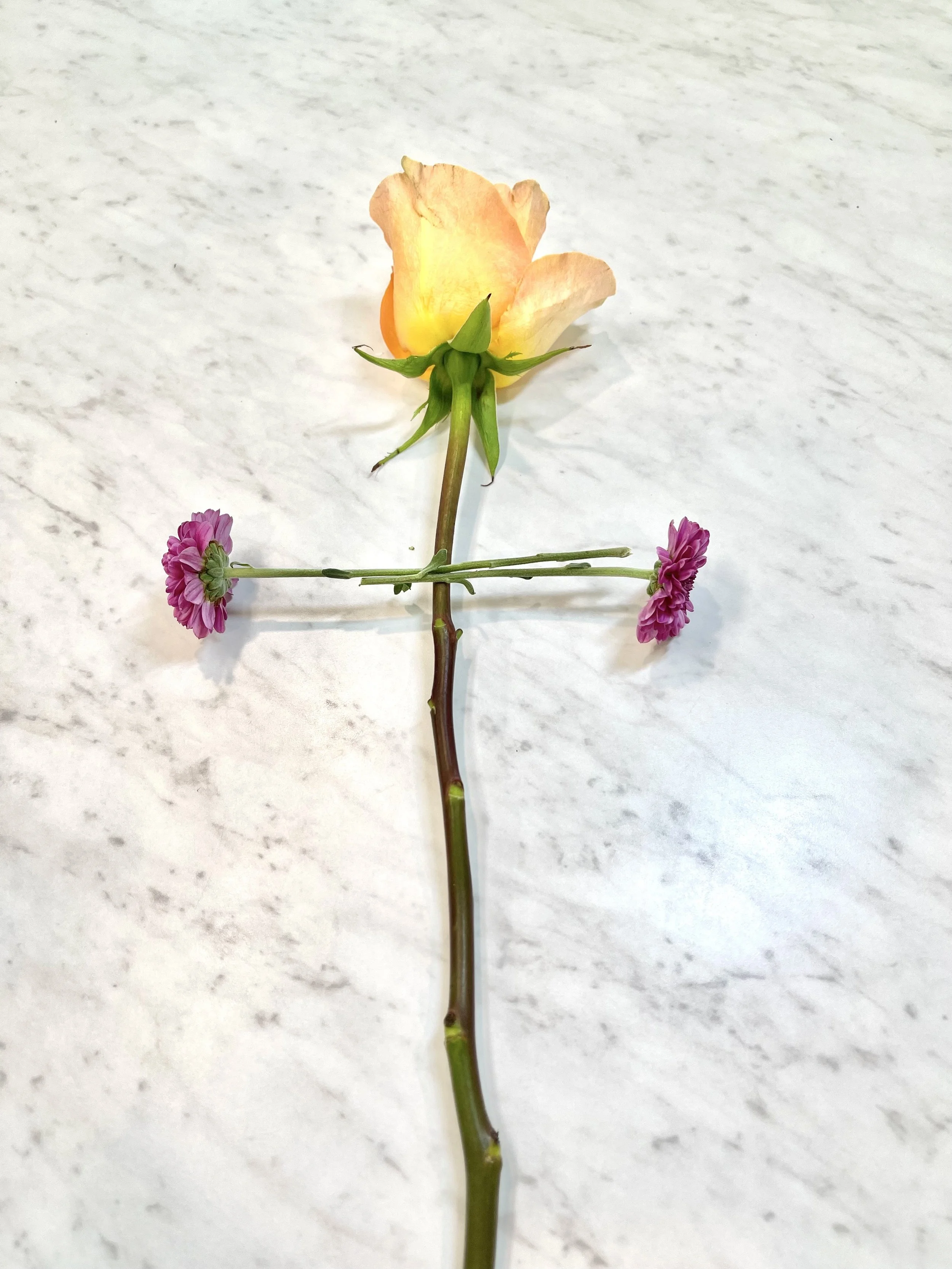 Fiat Foundations Part 1:  The Catholic Women I’m Called to Serve