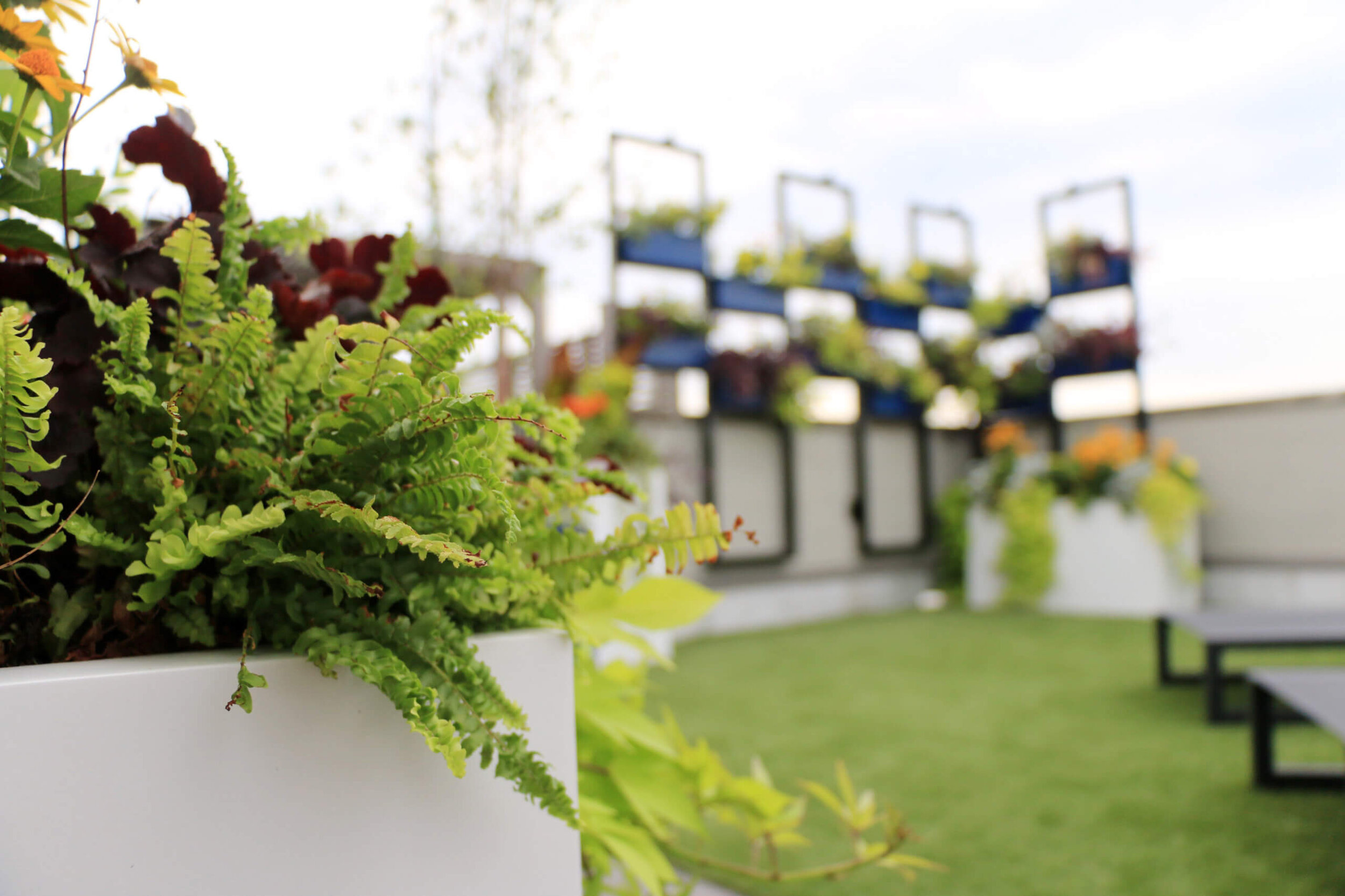 Rooftop Garden Design in Wicker Park, Chicago