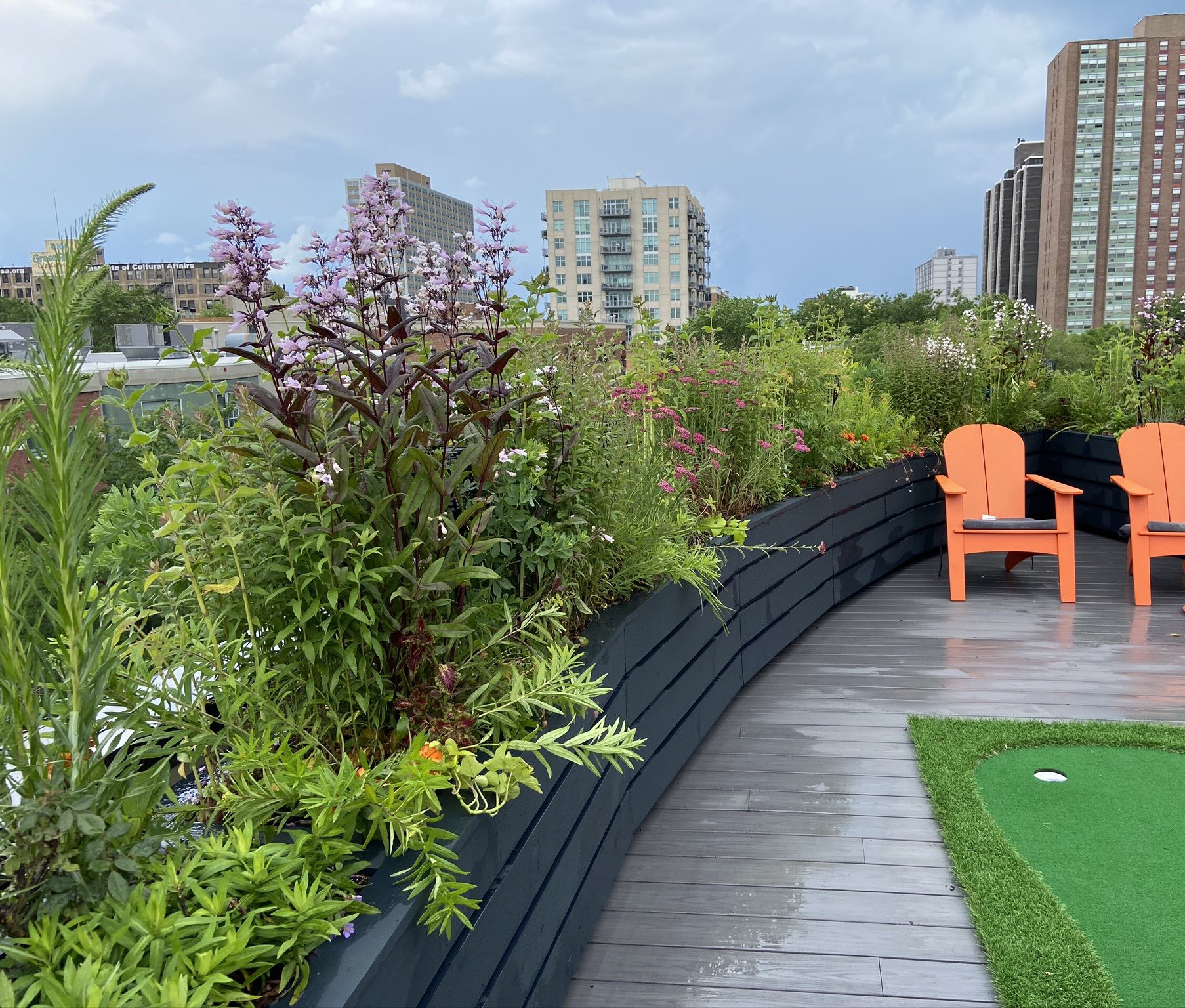4Rooftopia-chicago-summer-garden-native-plants-perennials-rooftopdeck-patio-planters.jpg