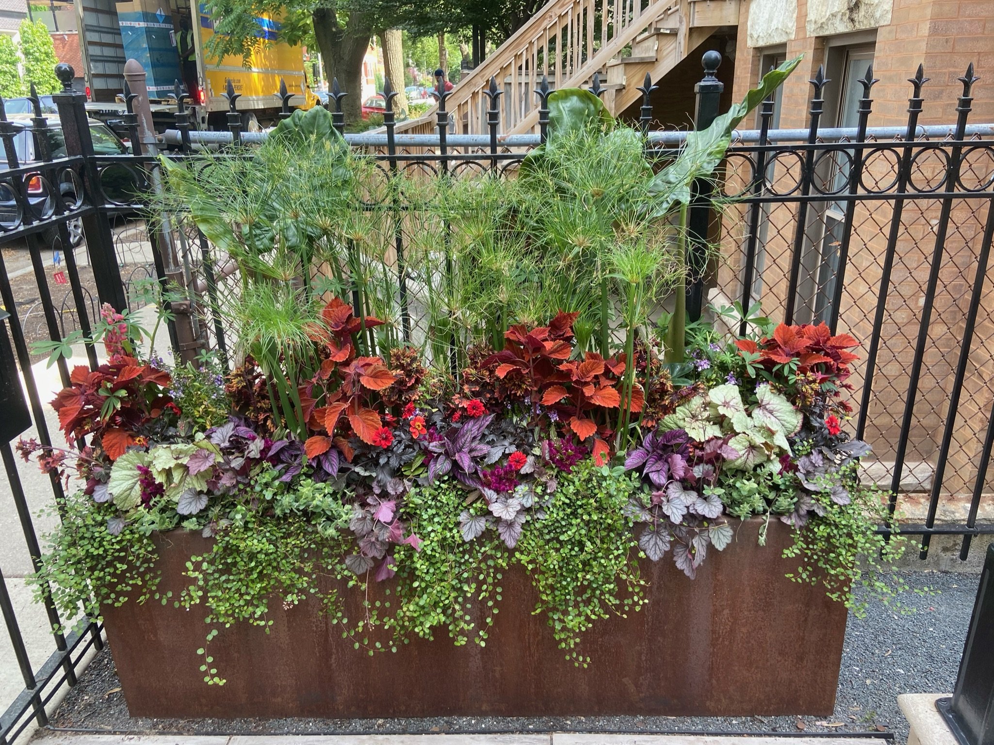 6Rooftopia-landscape-chicago-summer-garden-planter-box-curb-appeal-patio-yard-deck-plants-flowers.JPG