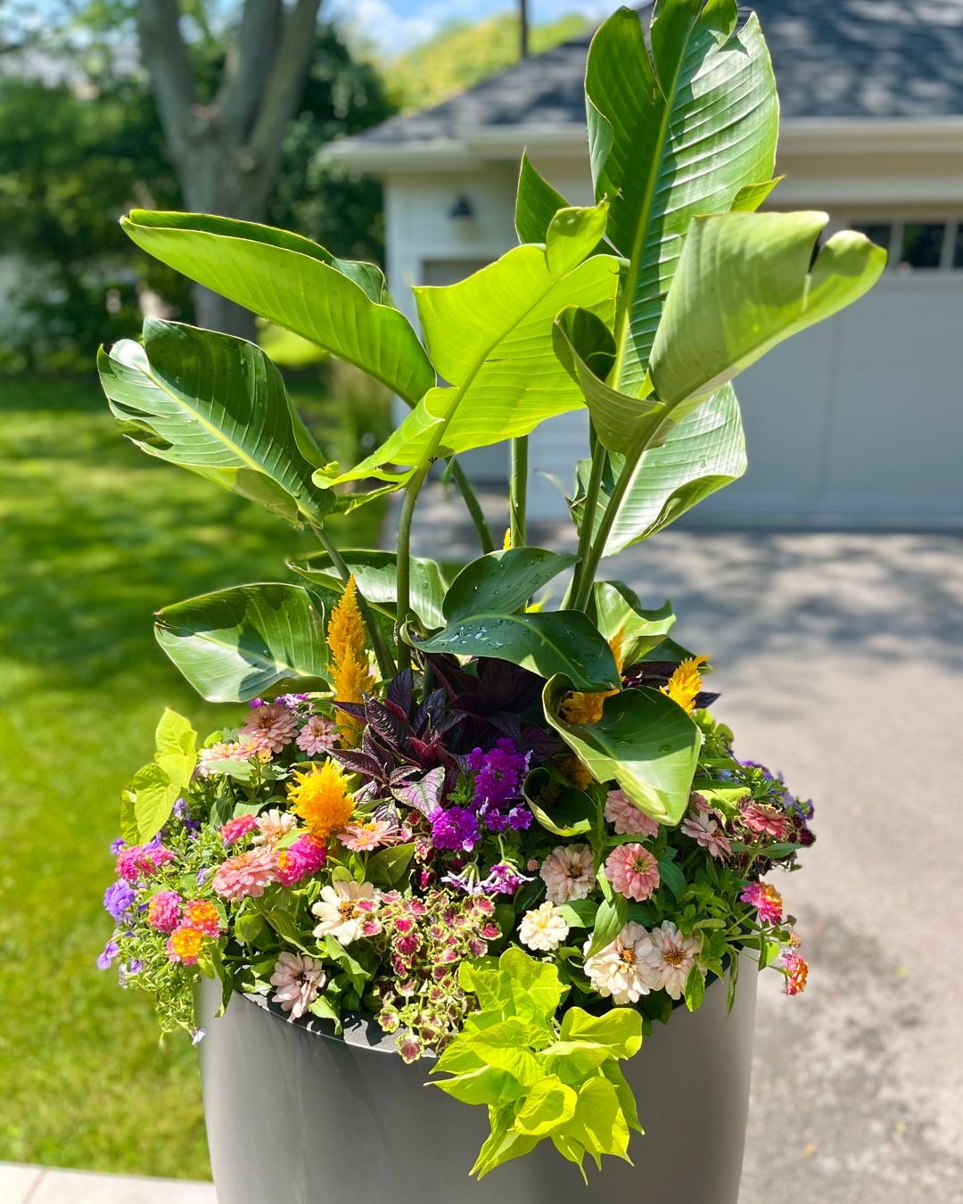 Summer containers are going in, and we&rsquo;re loving the results!  Bold colors, unique shapes, and stunning accents are bringing our clients' outdoor spaces to life. This season is all about vibrant vibes and fresh design! 

#SummerContainers #Gard