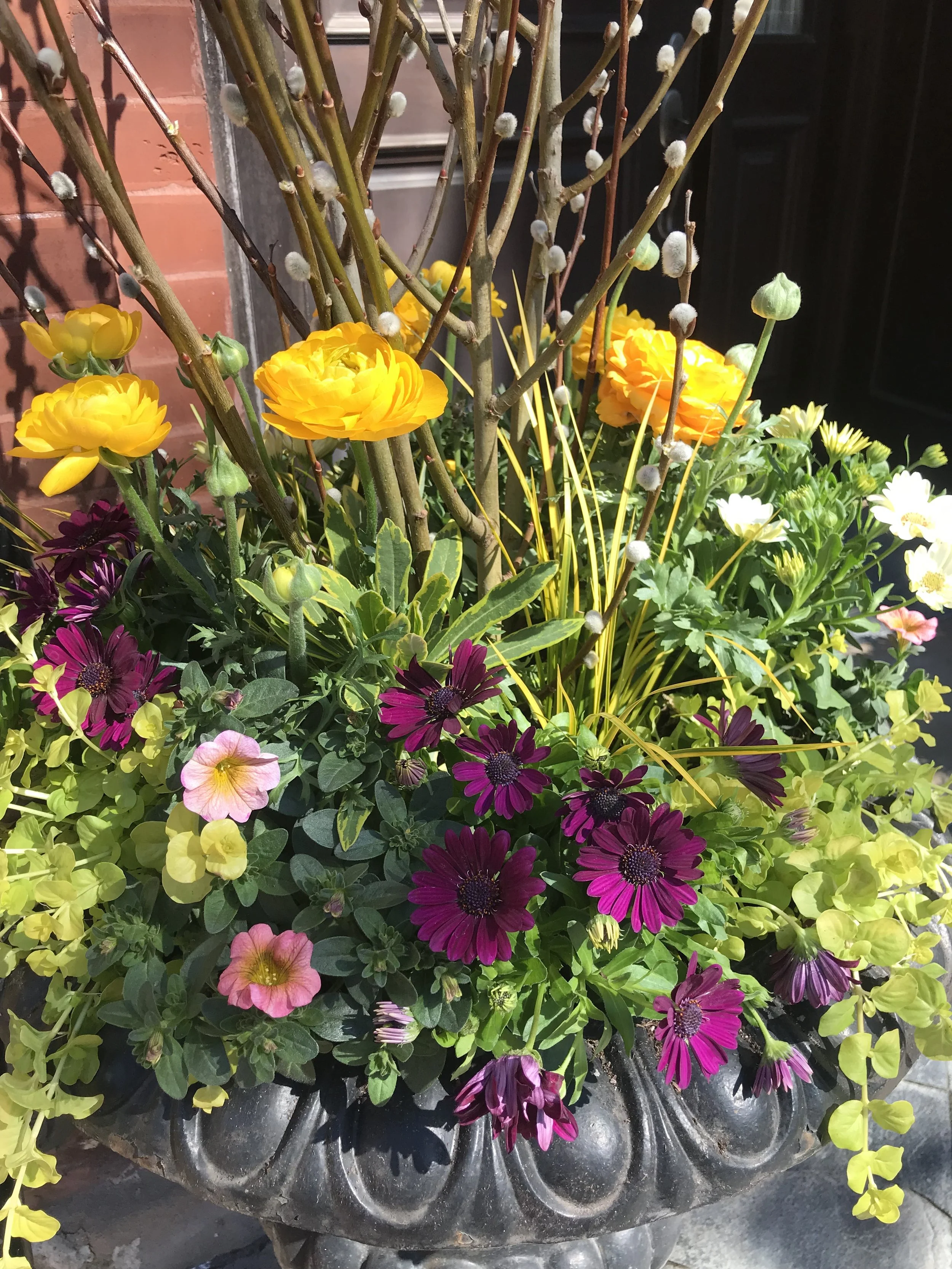 SPRING-Rooftopia-seasonal-planters-container-rotation-garden-boxes-urns-curb-appeal-landscape.JPG