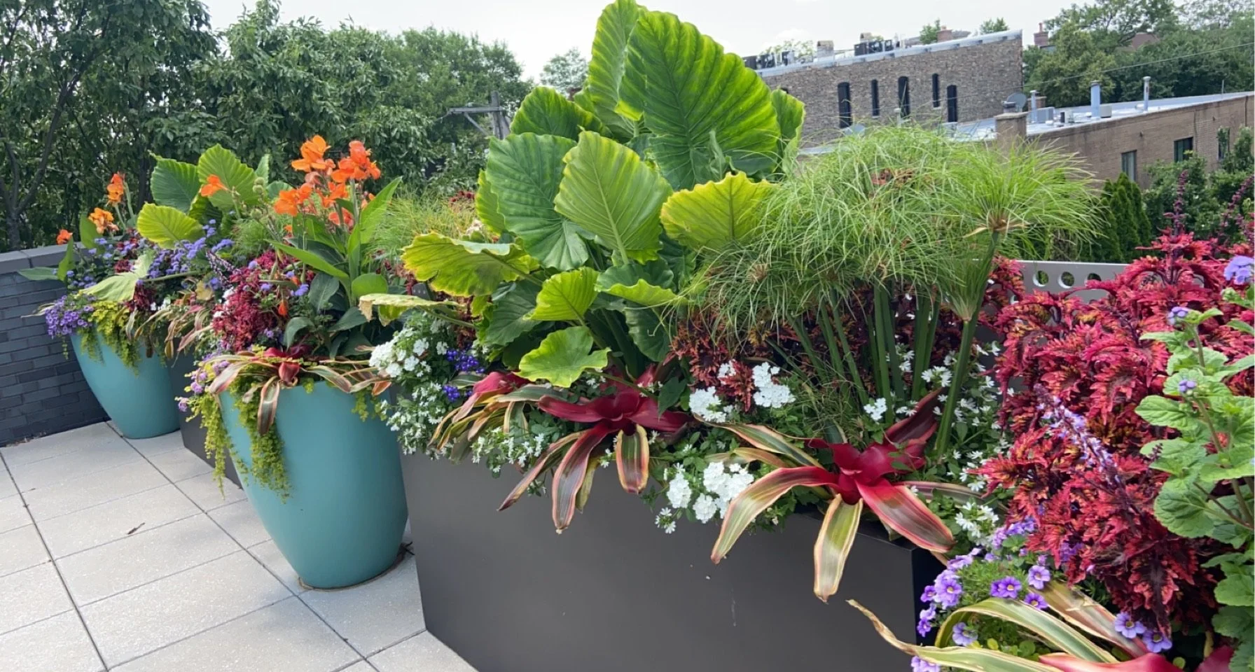 Summer-bold-colors-rooftopia-chicago.JPG
