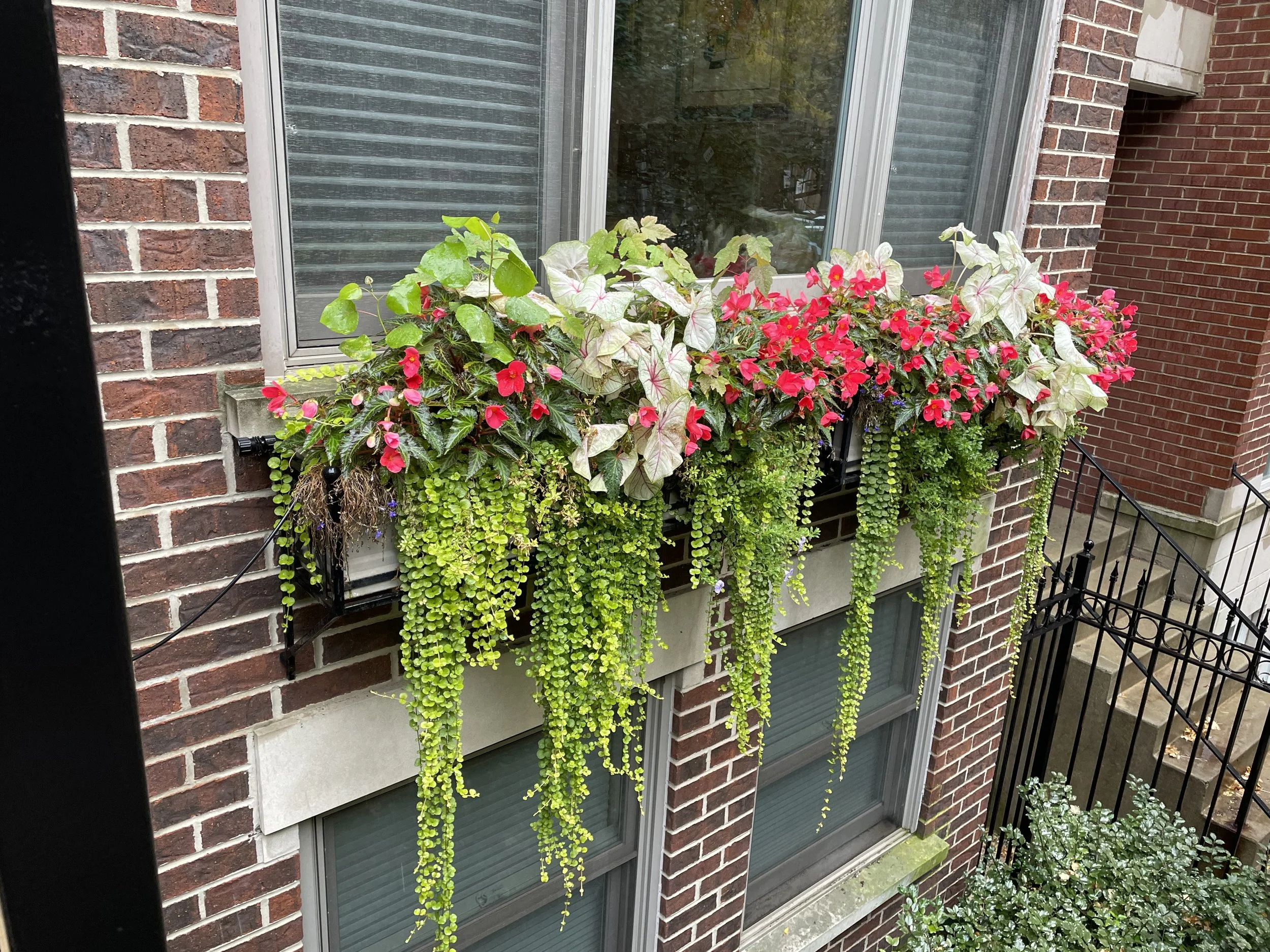 Summer-containers-rooftopia.JPG