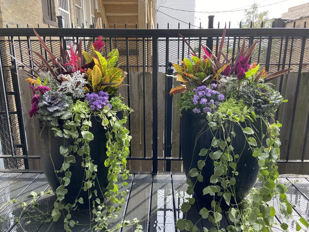 FALL-rooftopia-seasonal-container-garden-design-landscape-patio-deck-boxes.JPG