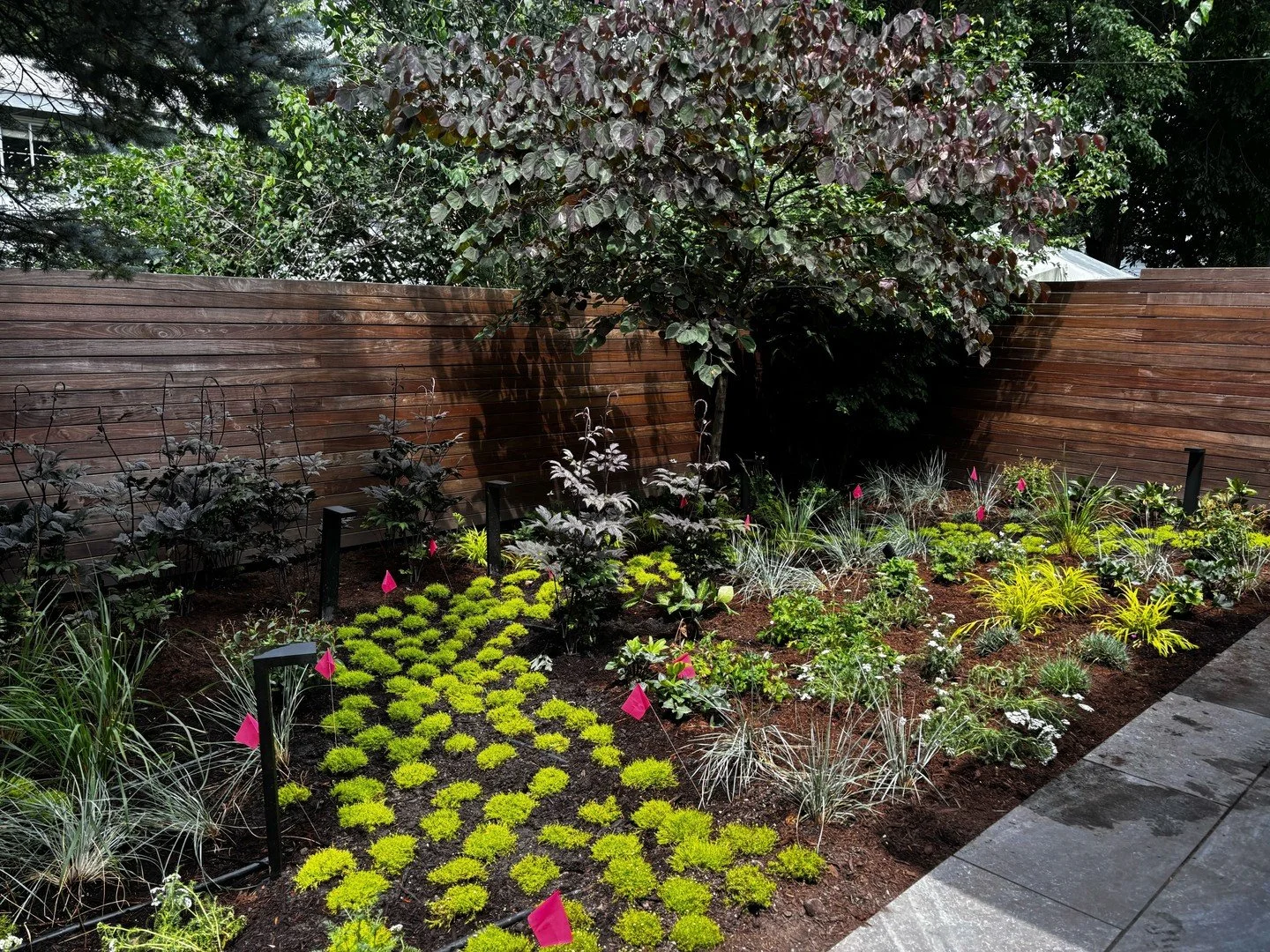 Designing with the future in mind&mdash;because today&rsquo;s choices grow tomorrow&rsquo;s biodiversity. 

#DesignWithPurpose #SustainableLandscaping #BiodiversityMatters #RooftopiaDesign #NativePlants #OutdoorLivingWithImpact #Rooftopiachicago #lan