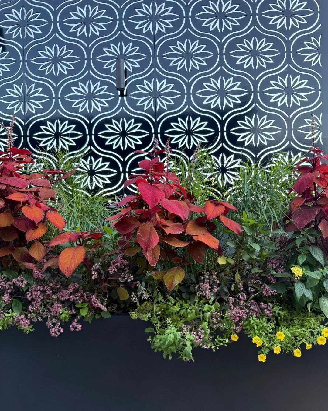 Another custom designed privacy screen, inspired by the client's interior wall covering that provides beauty and function on this gorgeous Logan Square Chicago residential rooftop deck.