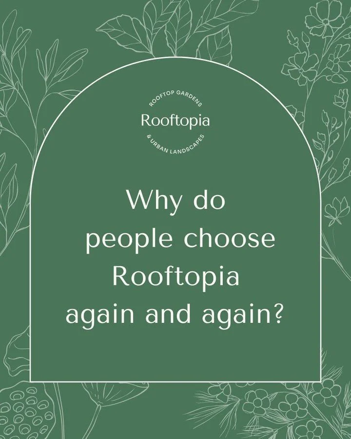 Here at Rooftopia we have one thing that most outdoor design/build companies don't have. And that is a completely custom, client-focused experience. If you want your dream outdoor spaces to come to life contact us today to get the conversation starte