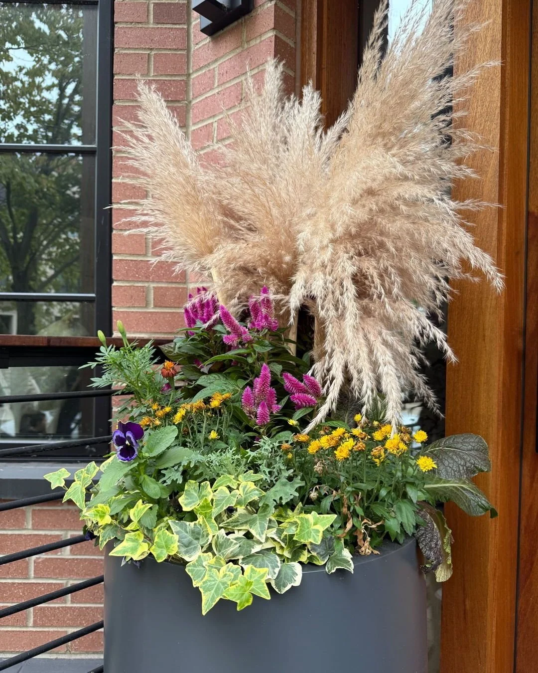 Fall weather has moved in and we are fully into our fall seasonal plantings! We love the shifts in the season and seeing our clients planters change from summer to fall.