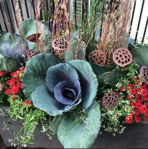 We are thankful to all of you, our clients, our vendors, our employees and everyone who has helped Rooftopia become what it is today. We at Rooftopia, hope you have a wonderful Thanksgiving filled with remembering what brings you joy, happiness and p