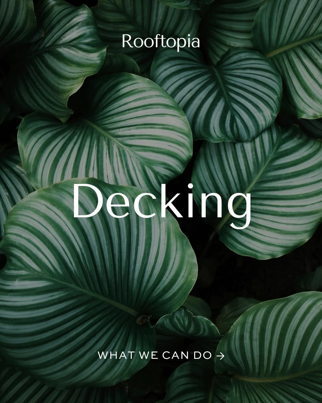 Is your deck looking worn, weathered, or unsafe? We know how frustrating it feels when an outdoor space you love becomes something you avoid.

That&rsquo;s why we design and build beautiful, long-lasting decking solutions for Chicago homes &mdash; fr