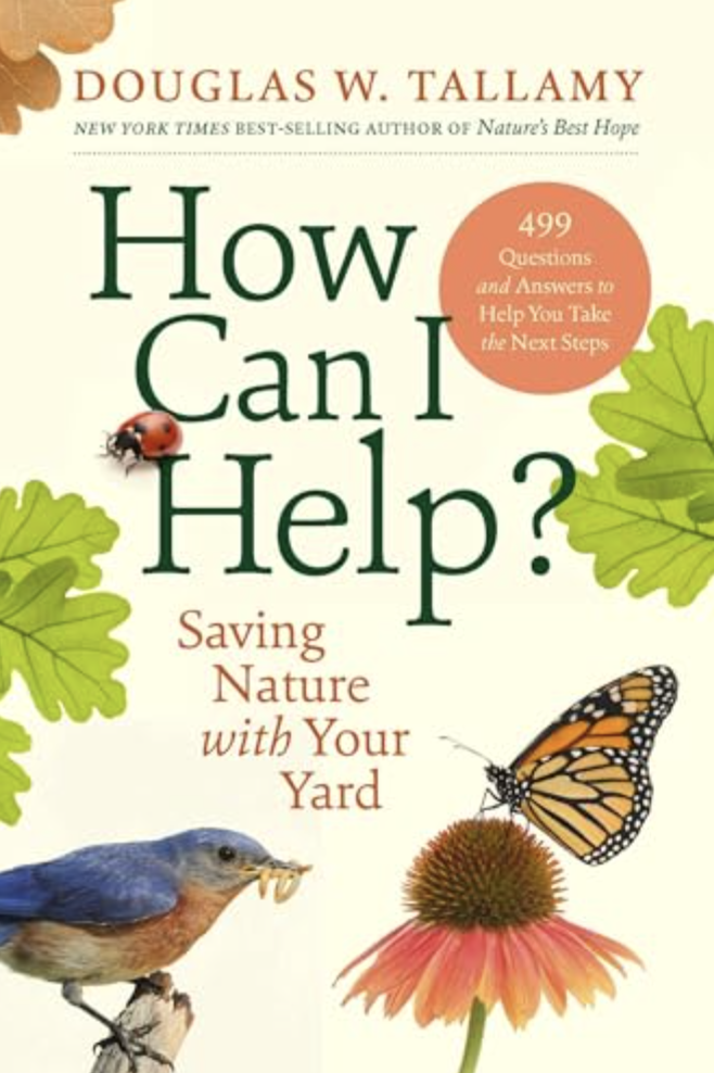How Can I Help - book cover.png