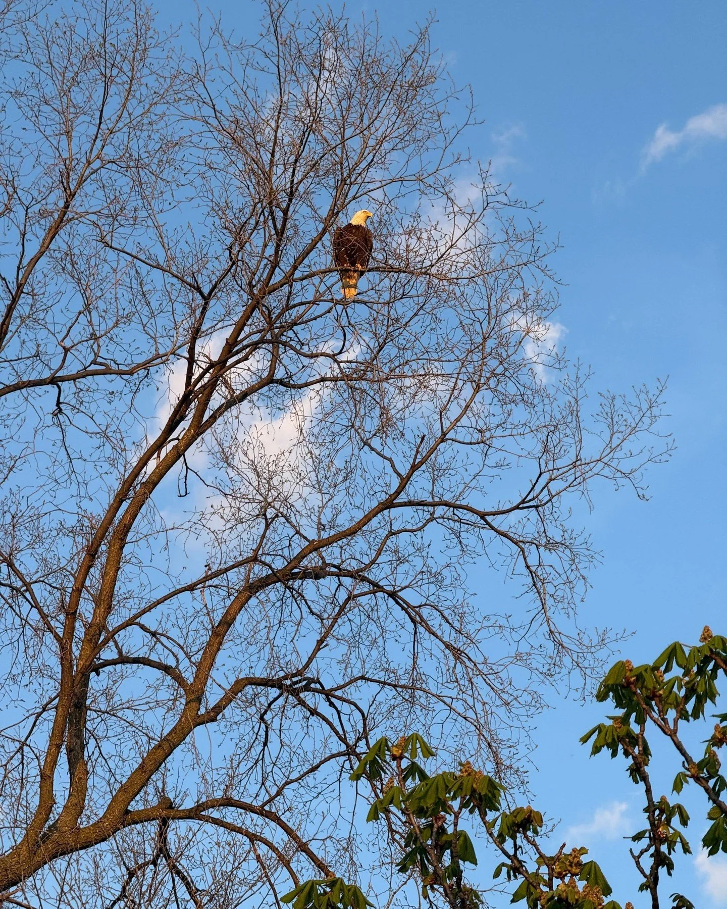 Happy Arbor Day 🌳

Today we&rsquo;re celebrating the trees that shape our neighborhoods, clean our air, and bring life to our urban spaces. Whether it&rsquo;s a towering shade tree or a newly planted sapling, every tree plays a part in creating a he