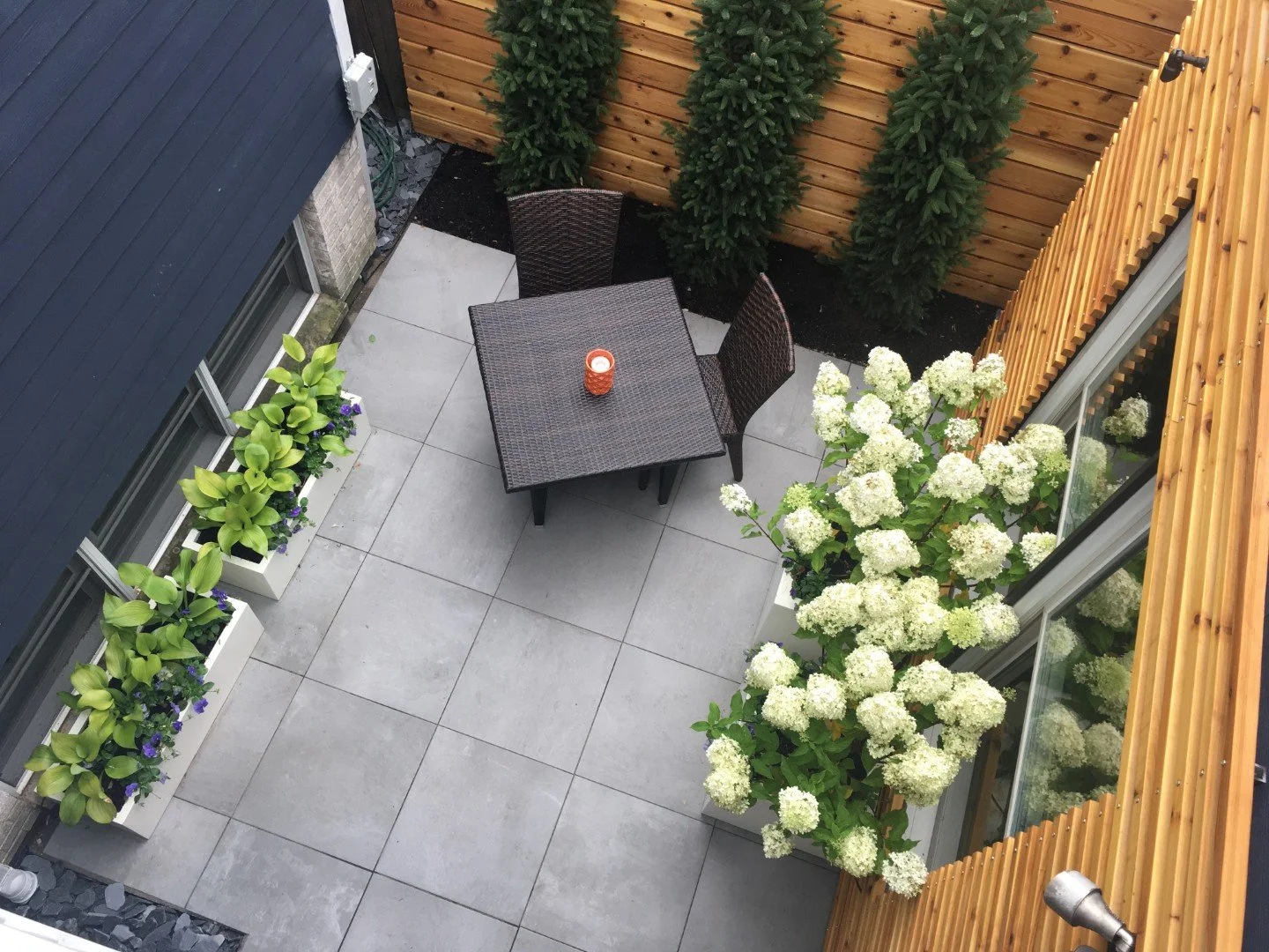 Rooftopia-chicago-backyard-patio-landscape-hydrangeas.jpg