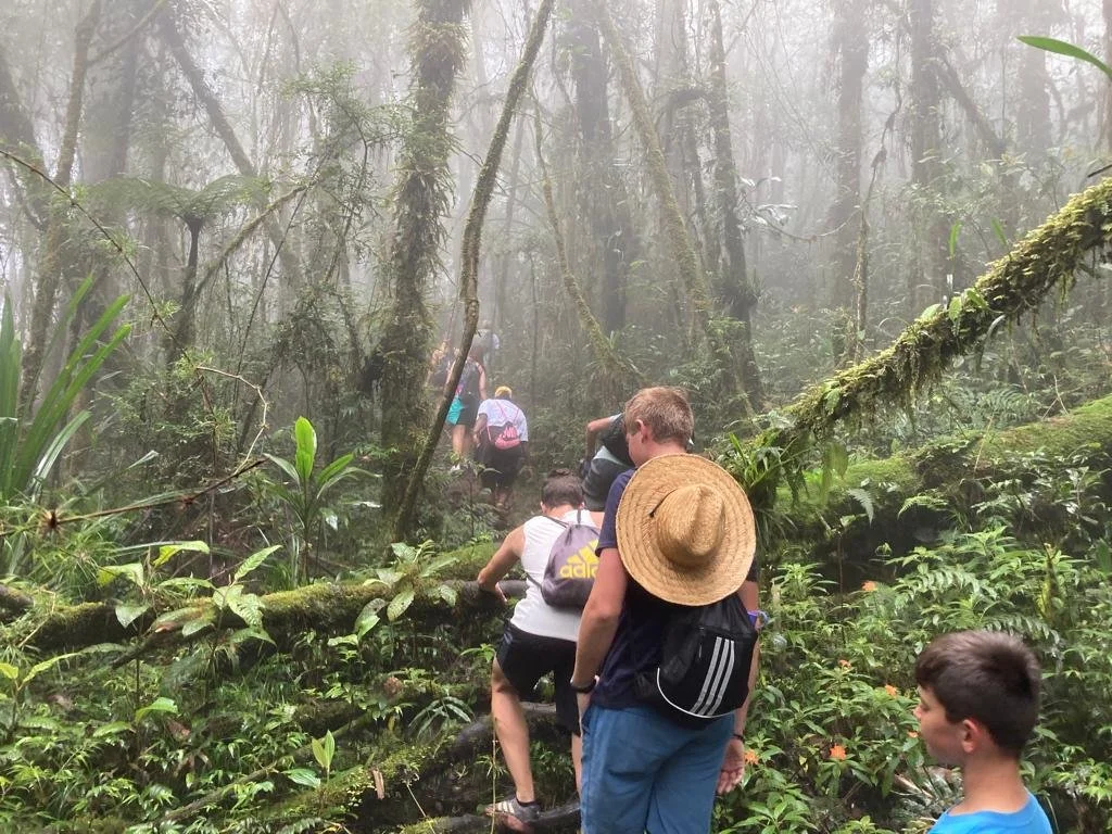 our jungle trail 