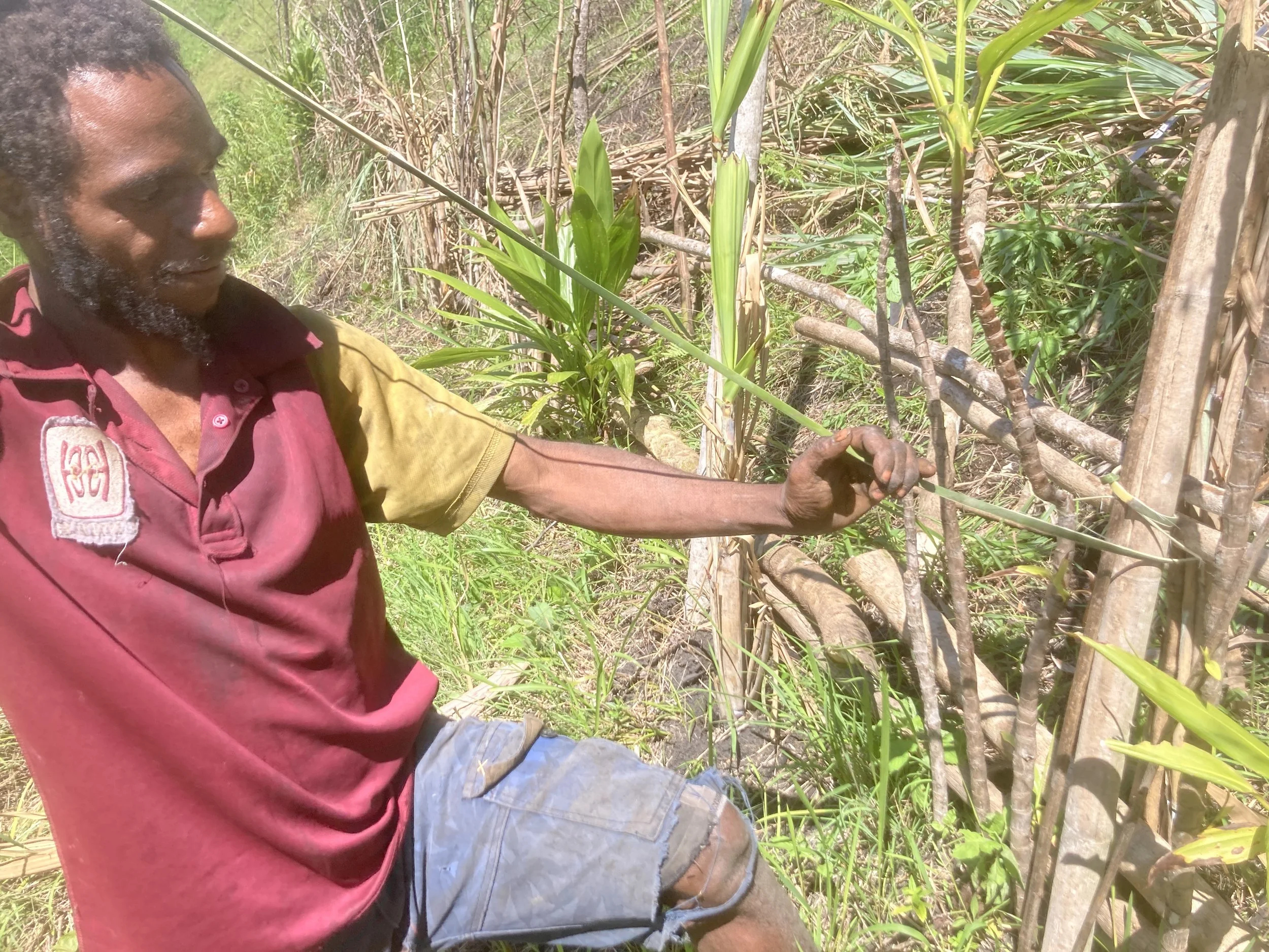 Vinom tying a retaining fence for a garden
