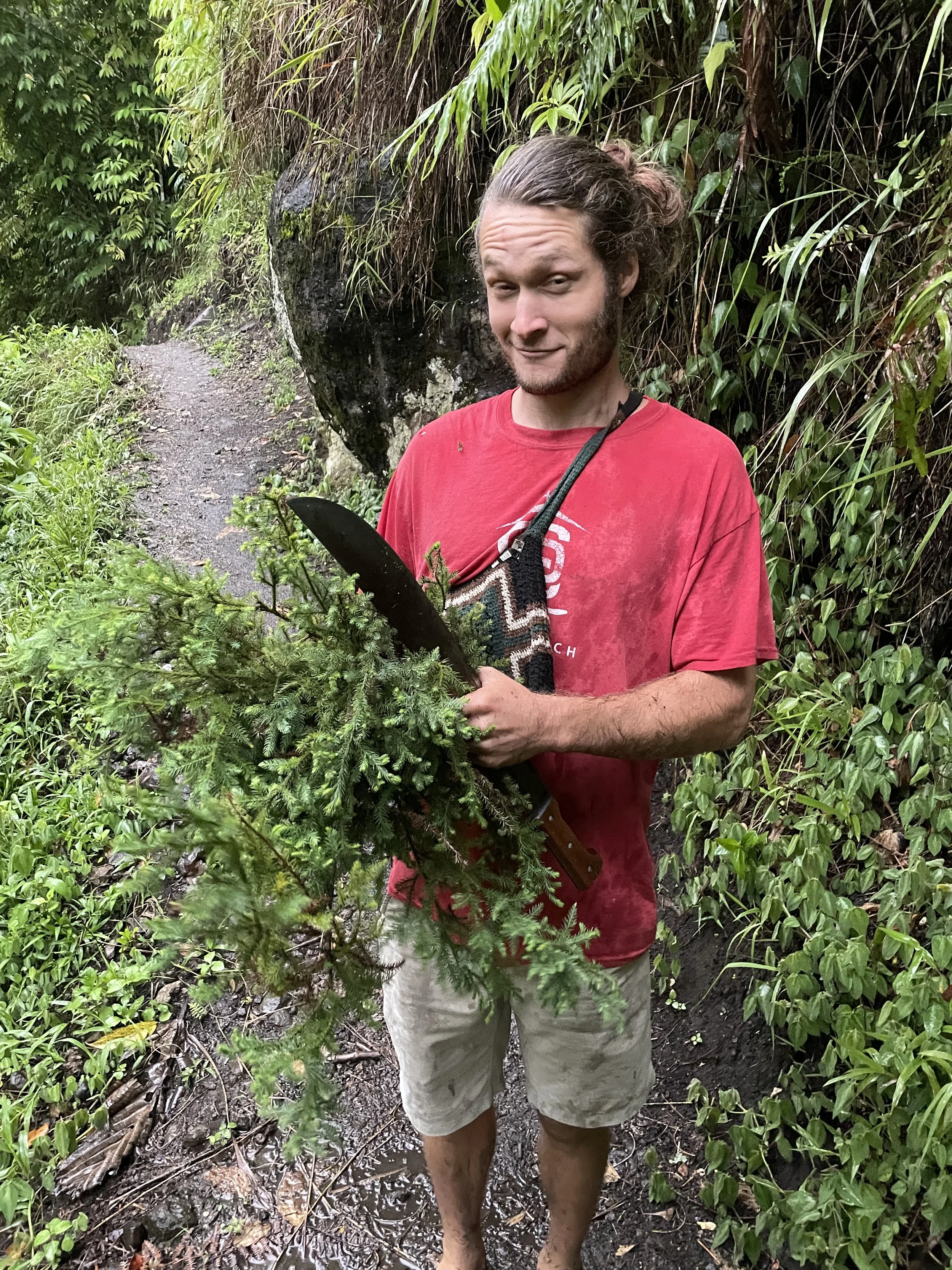 cutting pine for our Christmas decor