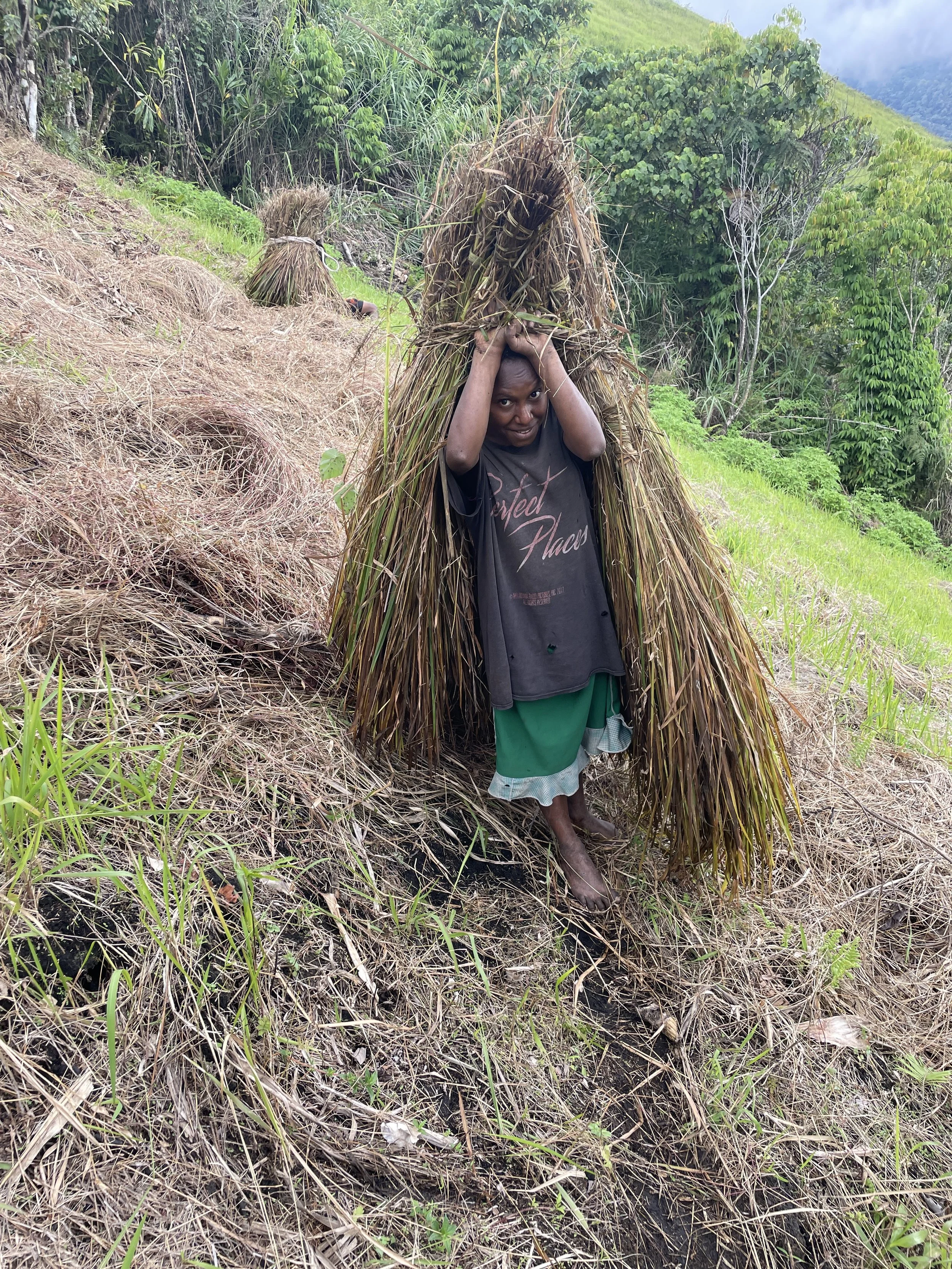 carrying bundles of grass for a roof