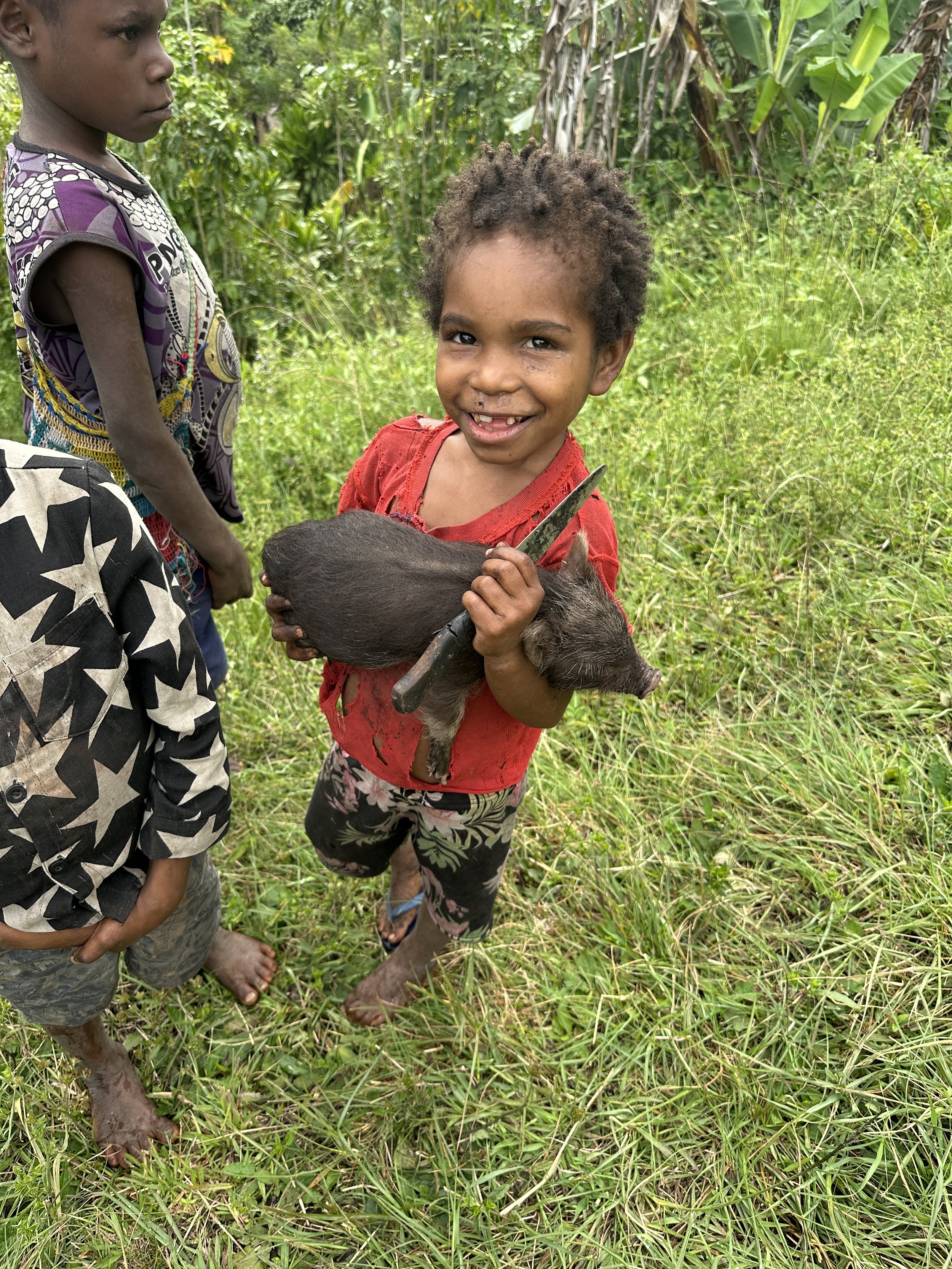 Little Demenke and her pet pig
