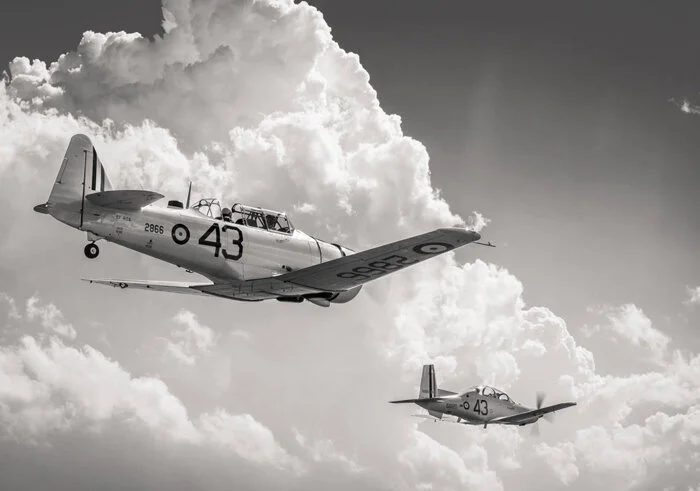 “Wheeled and soared and swung High in the sunlit silence. Hov’ring there, I’ve chased the shouting wind along, and flung My eager craft through footless halls of air….” John Gillespie Magee, 18 August 1941.  Photo: Peter Handley