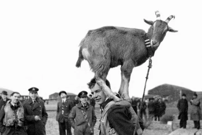 Flight Lieutenant Peter Raw and Billy