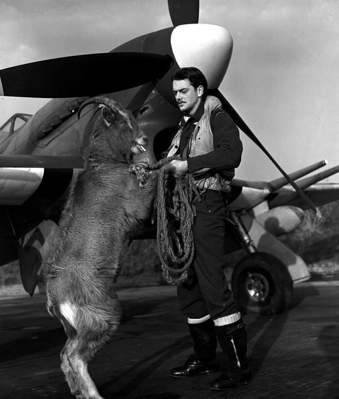 Pilot Officer Don “Buck” Buchanan, RCAF shares a dart with Billy