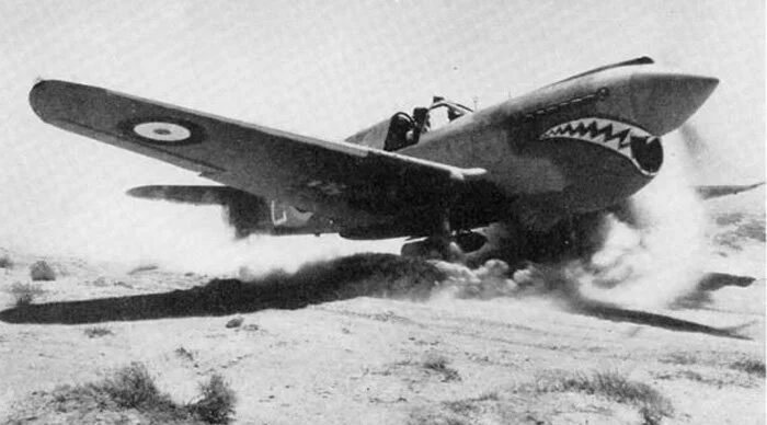 Spitfire Teeth BITE ME! The Story of the Shark Mouth, the World’s Most Enduring Nose ...