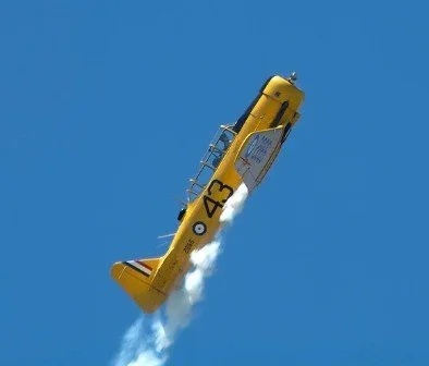 Harvard 2.jpg