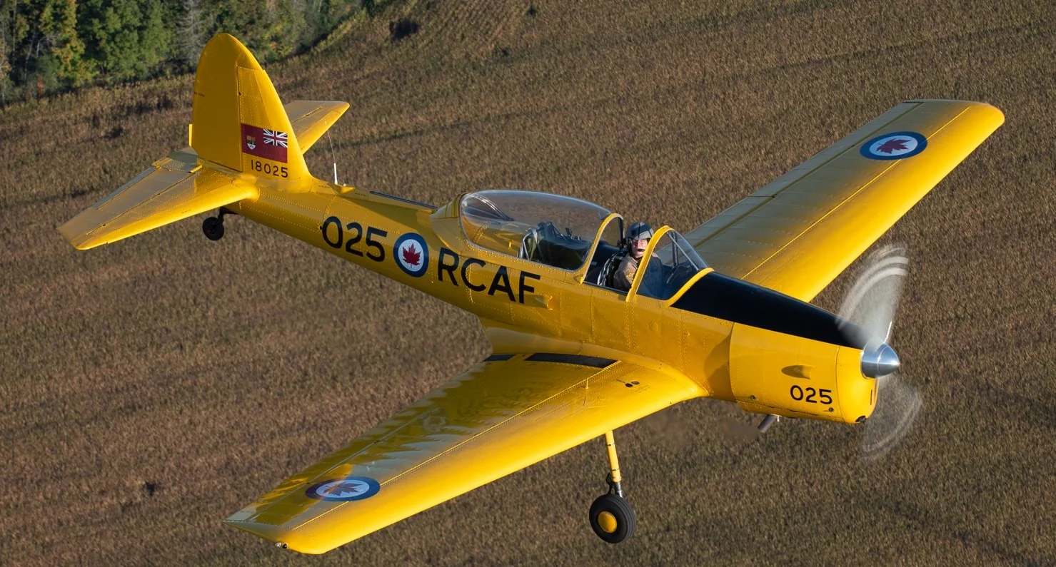Chipmunk 025.jpg