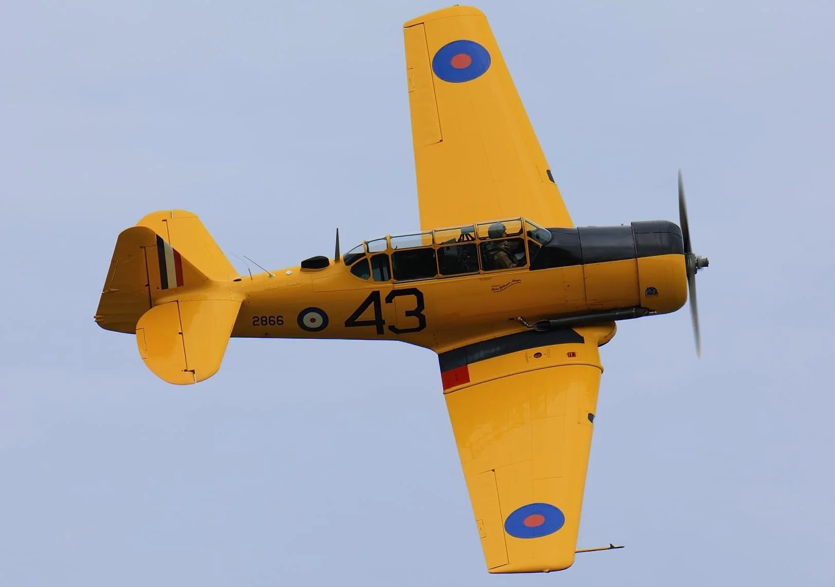 Harvard Flight