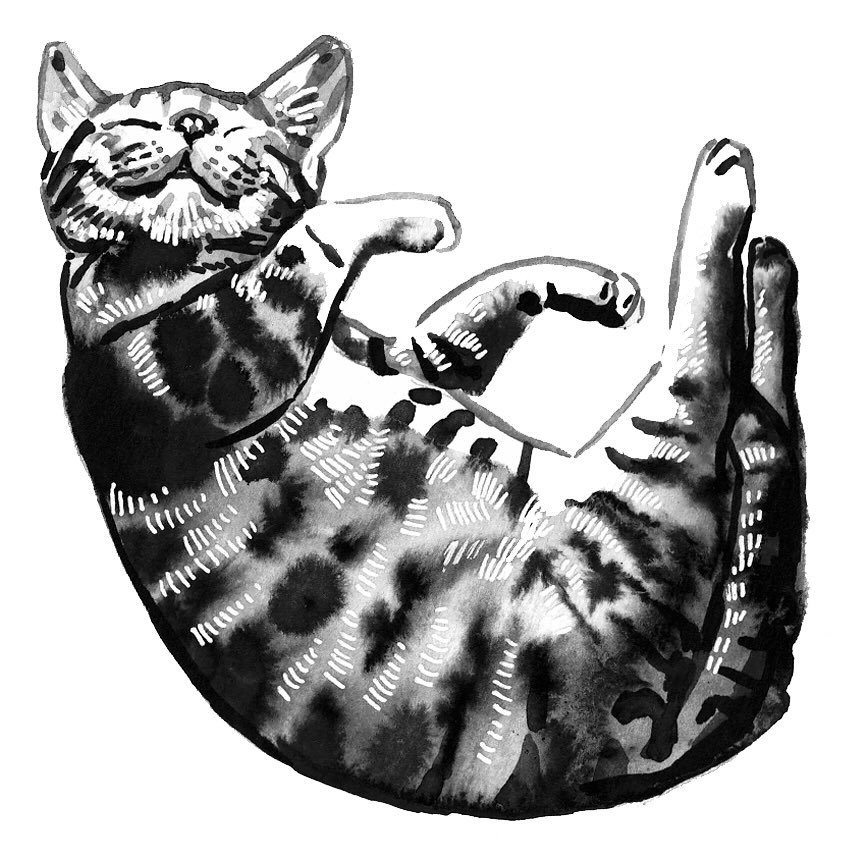 One of my favorite techniques to teach are ink effects. Methods like wet-on-wet, salt, and rubbing alcohol can add even more personality to an expressive water-based medium.

Cats were the subject for the UCSD Extended Studies Course I teach, Playing