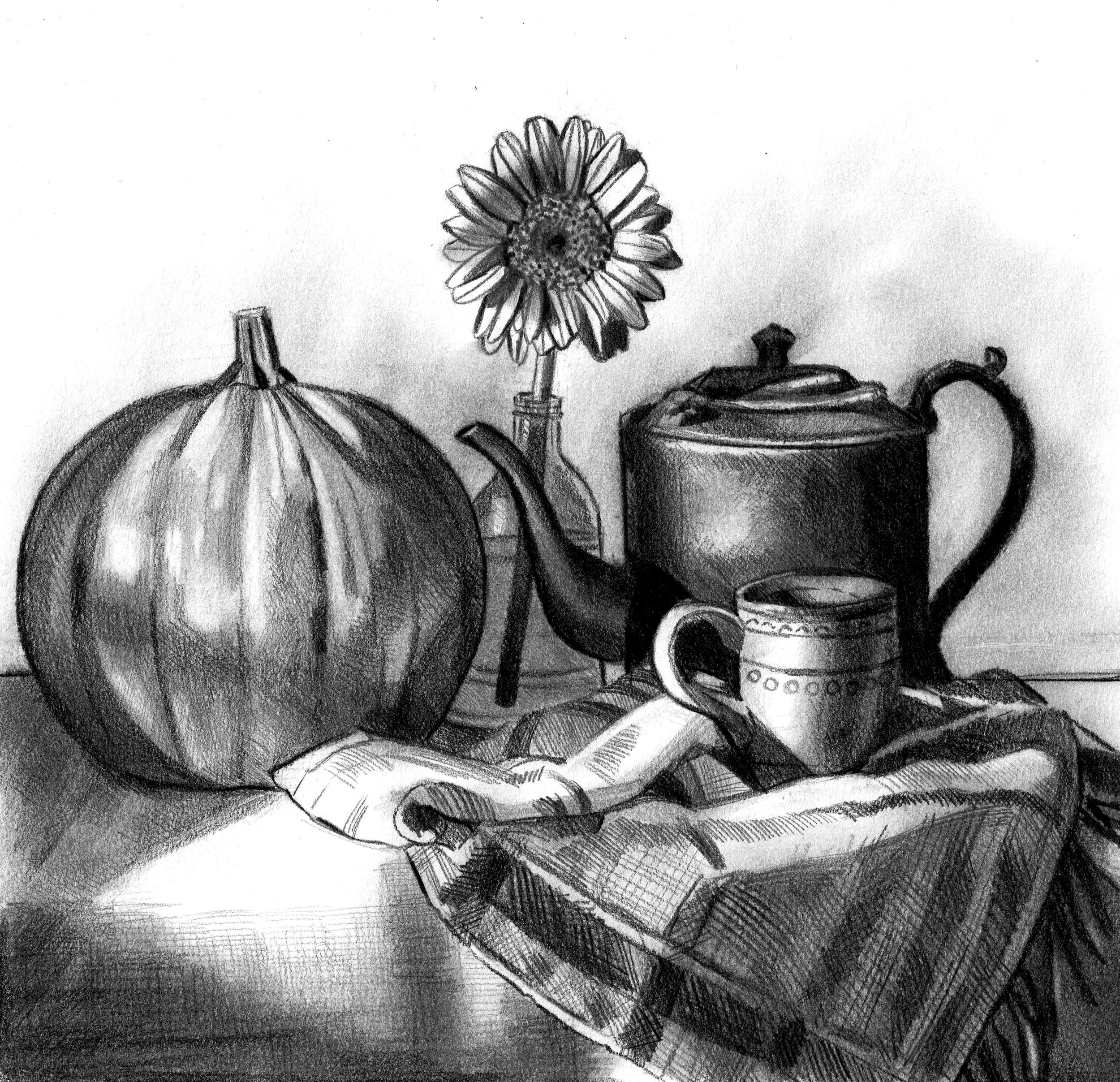 Still Life Study