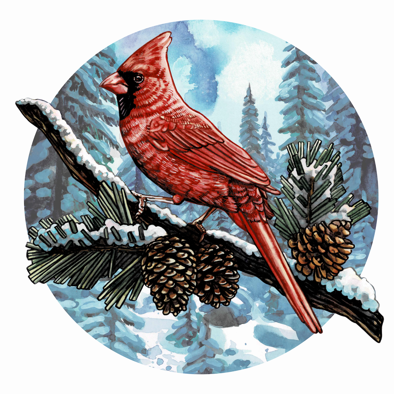 Winter Cardinal 
